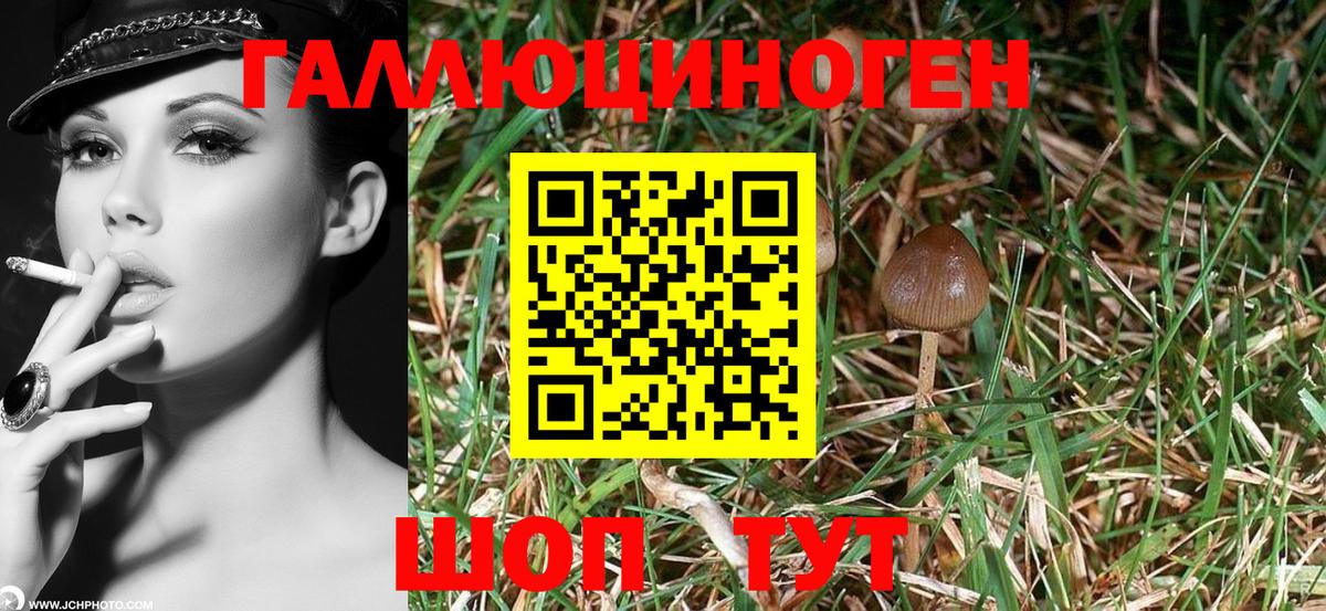 Псилоцибиновые грибы мухоморы  Вход с VPN  Александров 